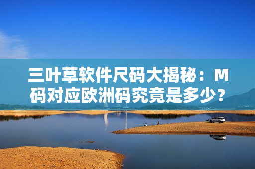 三叶草软件尺码大揭秘：M码对应欧洲码究竟是多少？