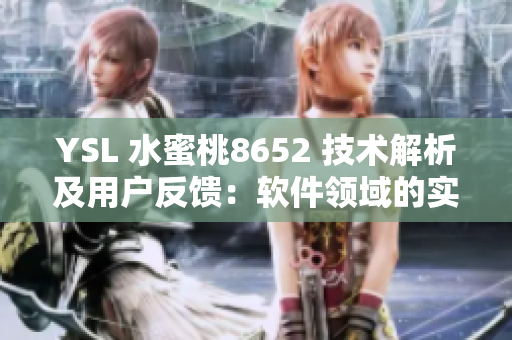 YSL 水蜜桃8652 技术解析及用户反馈：软件领域的实用指南