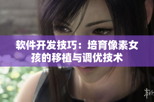 软件开发技巧：培育像素女孩的移植与调优技术