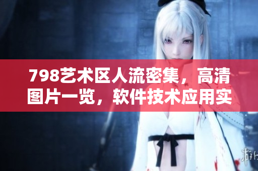798艺术区人流密集，高清图片一览，软件技术应用实景对比详解