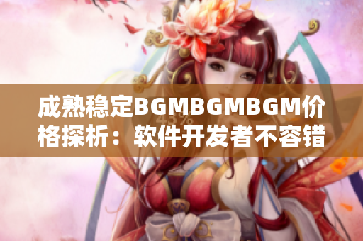 成熟稳定BGMBGMBGM价格探析：软件开发者不容错过的利器