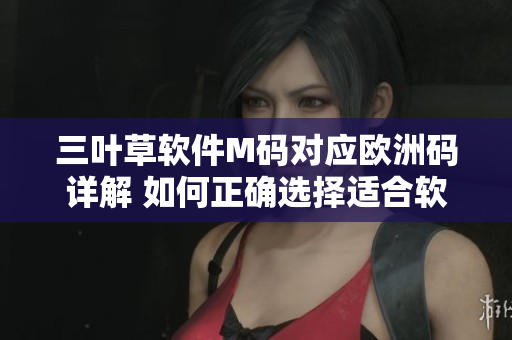 三叶草软件M码对应欧洲码详解 如何正确选择适合软件开发的服装大小