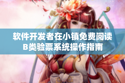 软件开发者在小镇免费阅读B类验票系统操作指南