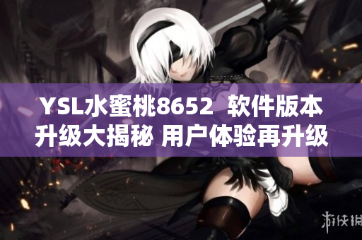 YSL水蜜桃8652  软件版本升级大揭秘 用户体验再升级!