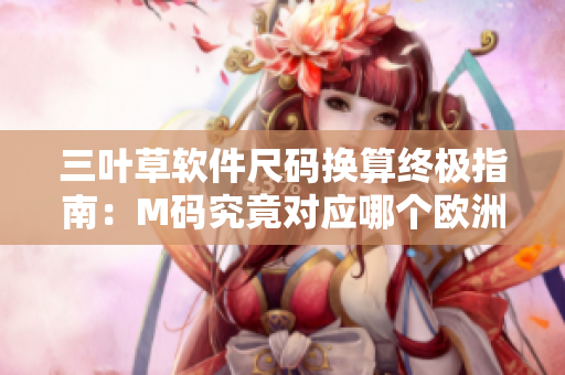 三叶草软件尺码换算终极指南：M码究竟对应哪个欧洲尺码？