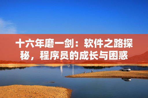 十六年磨一剑：软件之路探秘，程序员的成长与困惑
