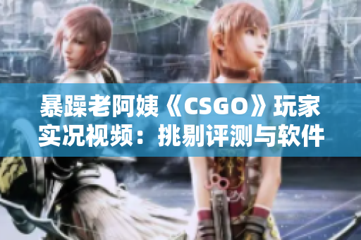 暴躁老阿姨《CSGO》玩家实况视频：挑剔评测与软件技巧分享