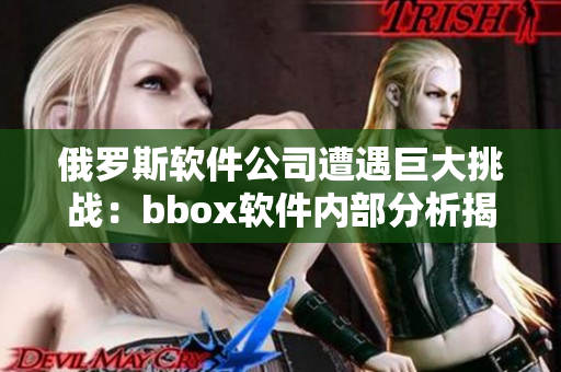俄罗斯软件公司遭遇巨大挑战：bbox软件内部分析揭示的问题