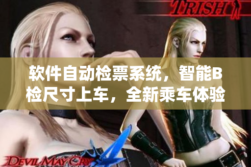 软件自动检票系统，智能B检尺寸上车，全新乘车体验