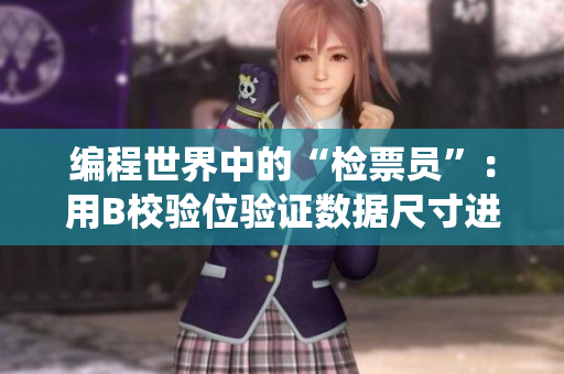 编程世界中的“检票员”：用B校验位验证数据尺寸进入软件系统