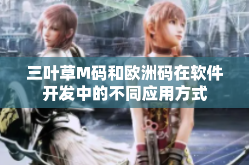 三叶草M码和欧洲码在软件开发中的不同应用方式