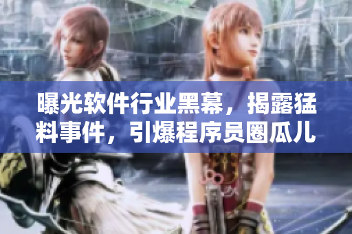 曝光软件行业黑幕，揭露猛料事件，引爆程序员圈瓜儿！