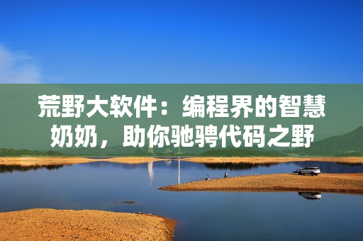 荒野大软件：编程界的智慧奶奶，助你驰骋代码之野
