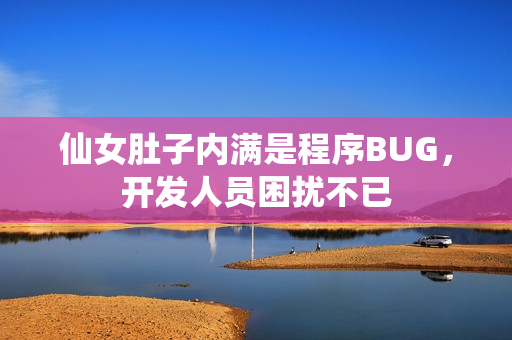 仙女肚子内满是程序BUG，开发人员困扰不已