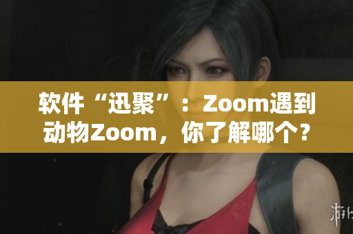 软件“迅聚”：Zoom遇到动物Zoom，你了解哪个？