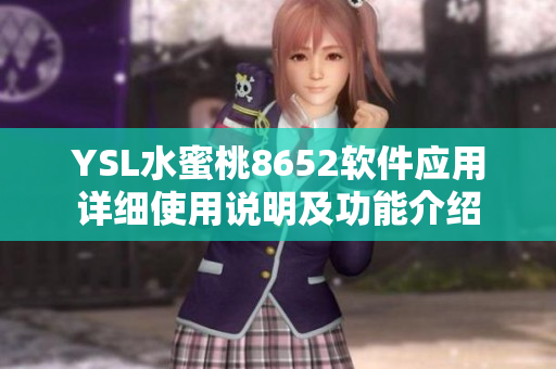 YSL水蜜桃8652软件应用详细使用说明及功能介绍