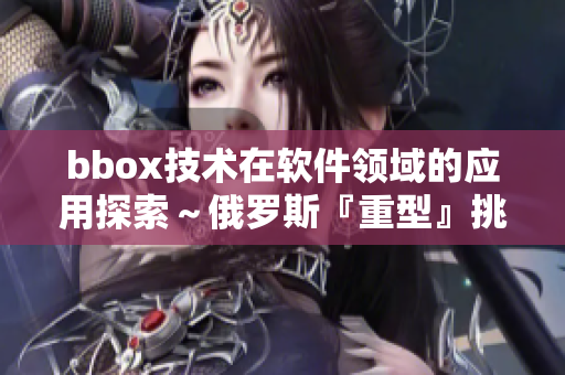 bbox技术在软件领域的应用探索～俄罗斯『重型』挑战