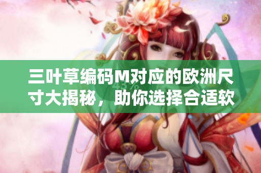 三叶草编码M对应的欧洲尺寸大揭秘，助你选择合适软件开发工作服