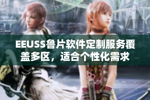 EEUSS鲁片软件定制服务覆盖多区，适合个性化需求
