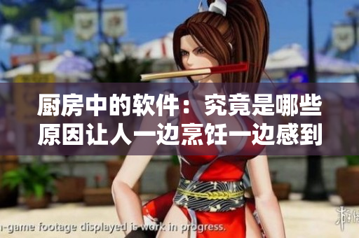 厨房中的软件：究竟是哪些原因让人一边烹饪一边感到躁狂？
