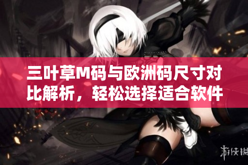 三叶草M码与欧洲码尺寸对比解析，轻松选择适合软件开发者的尺码