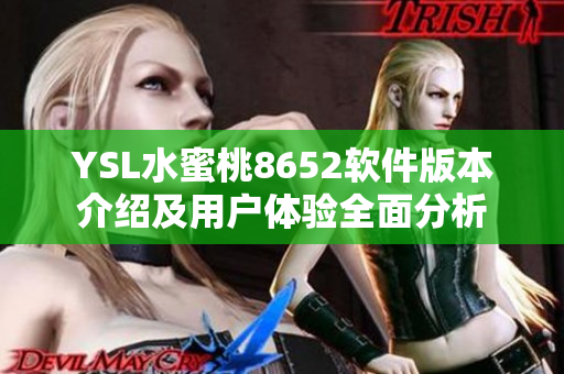 YSL水蜜桃8652软件版本介绍及用户体验全面分析