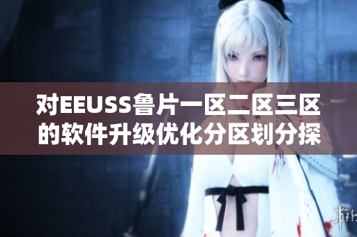 对EEUSS鲁片一区二区三区的软件升级优化分区划分探讨