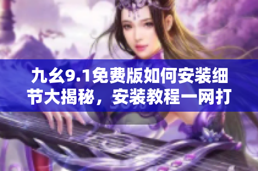 九幺9.1免费版如何安装细节大揭秘，安装教程一网打尽