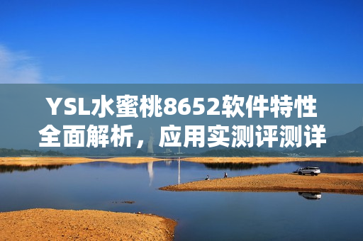 YSL水蜜桃8652软件特性全面解析，应用实测评测详尽分享