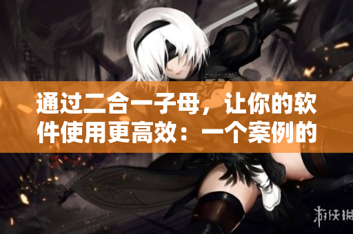 通过二合一子母，让你的软件使用更高效：一个案例的分析