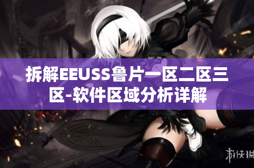 拆解EEUSS鲁片一区二区三区-软件区域分析详解