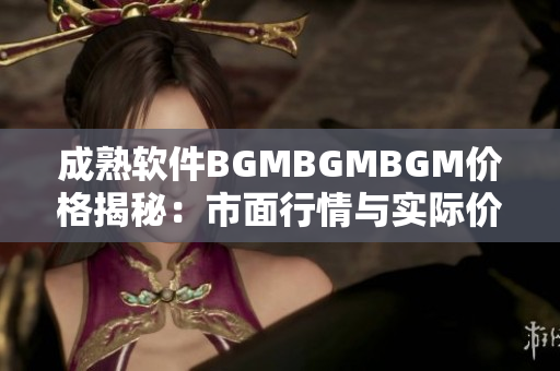成熟软件BGMBGMBGM价格揭秘：市面行情与实际价值对比