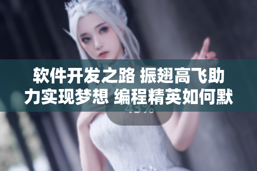 软件开发之路 振翅高飞助力实现梦想 编程精英如何默契配合共创理想未来
