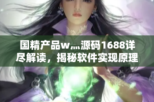 国精产品w灬源码1688详尽解读，揭秘软件实现原理