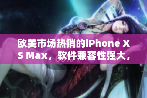 欧美市场热销的iPhone XS Max，软件兼容性强大，性能稳定