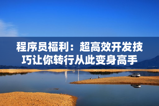 程序员福利：超高效开发技巧让你转行从此变身高手