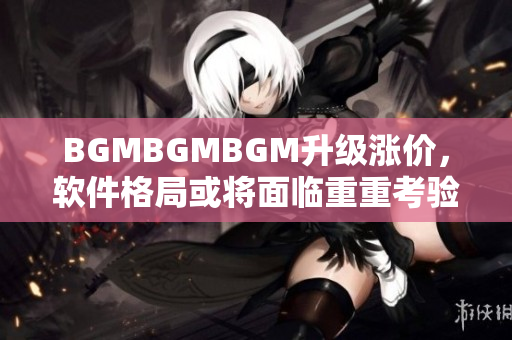 BGMBGMBGM升级涨价，软件格局或将面临重重考验!