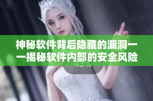 神秘软件背后隐藏的漏洞一一揭秘软件内部的安全风险