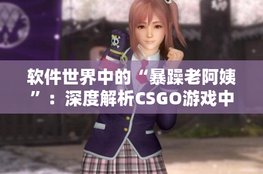 软件世界中的“暴躁老阿姨”：深度解析CSGO游戏中的不易察觉的秘密