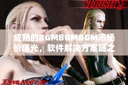 成熟的BGMBGMBGM市场价曝光，软件解决方案随之涨价