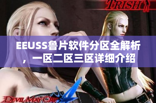 EEUSS鲁片软件分区全解析，一区二区三区详细介绍