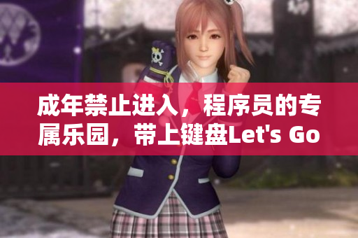 成年禁止进入，程序员的专属乐园，带上键盘Let's Go深入开发！