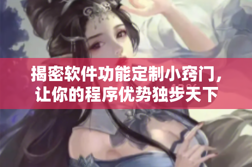 揭密软件功能定制小窍门，让你的程序优势独步天下