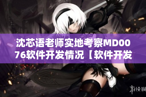 沈芯语老师实地考察MD0076软件开发情况【软件开发实地考察】