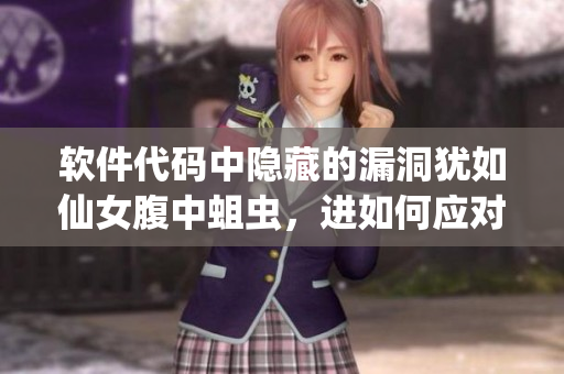 软件代码中隐藏的漏洞犹如仙女腹中蛆虫，进如何应对？