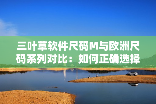 三叶草软件尺码M与欧洲尺码系列对比：如何正确选择软件服装尺码