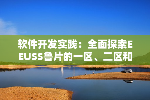 软件开发实践：全面探索EEUSS鲁片的一区、二区和三区