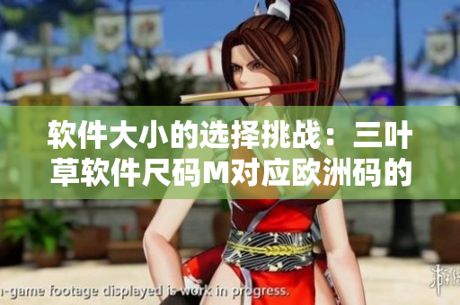 软件大小的选择挑战：三叶草软件尺码M对应欧洲码的究竟有何不同？