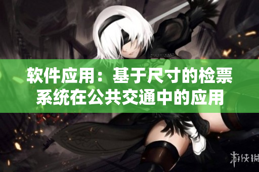 软件应用：基于尺寸的检票系统在公共交通中的应用