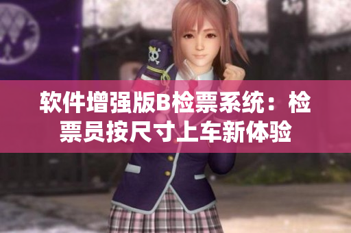 软件增强版B检票系统：检票员按尺寸上车新体验